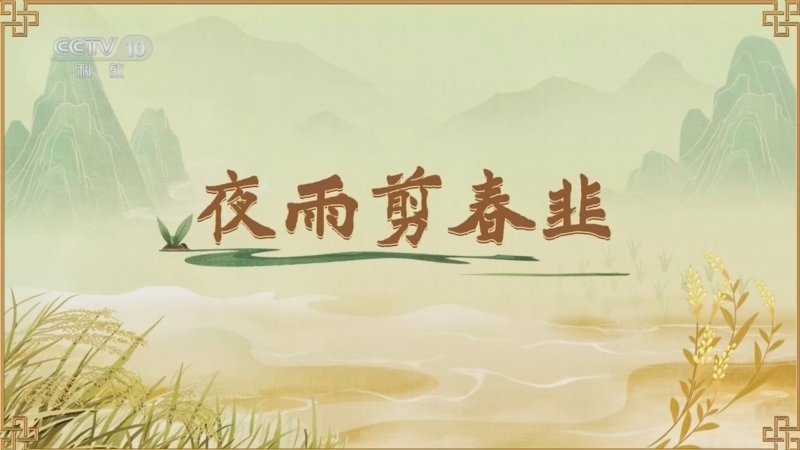百家讲坛 《百家讲坛》 20260627 食物的历史（第二部） 8 夜雨剪春韭
