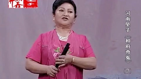 河南坠子 河南坠子 相府奇冤 二部