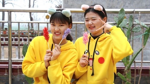美女家务事 小晴教你做浪漫的薰衣草