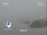 探索发现 《探索发现》 20180114 越冬
