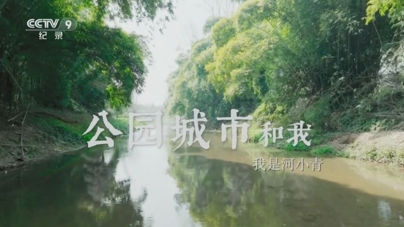 《公园城市和我》 第7集 我是河小青