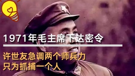 红墙往事 毛主席下达密令，许世友急调两个师兵力，只为抓捕一个人