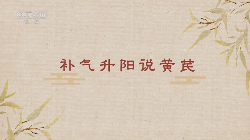 百家讲坛 《百家讲坛》 20260201 舌尖上的养生（第三部） 12 补气升阳说黄芪