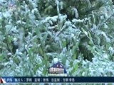 体育新闻 [体育新闻]完整版 20171009