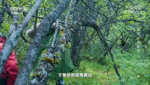 地理中国 《地理·中国》 20200312 弧形中的秘密 4