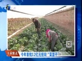 12点报道 《12点报道》 20170204