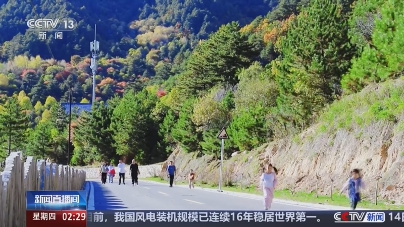 《新闻直播间》 20261015 02:00