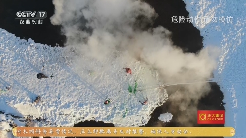 三农群英汇 《三农群英汇》 20260725 咫尺北极光
