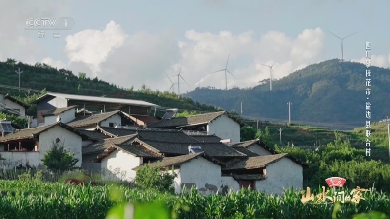 山水间的家第四季 《山水间的家》第四季 20250921