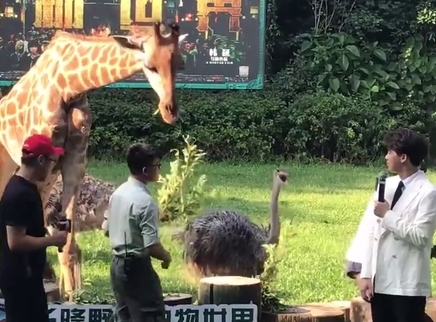 峰记本-李易峰资源博 皮皮峰吓的主持人都跳起来了
