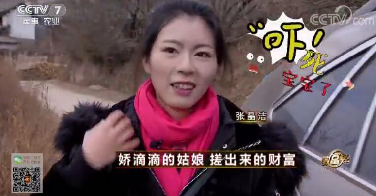 致富经 [致富经]娇滴滴的姑娘 搓出来的财富 20180205