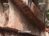 地理中国 《地理中国》 20161215 探秘会龙庄
