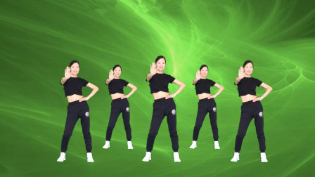 广场舞精选《DJ得意的笑》李丽芬经典老歌健身操