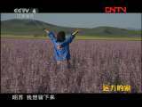远方的家 《边疆行》第68集 天马牧歌——昭苏《远方的家》20111012