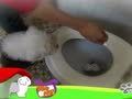 狗狗日记 第50天 好奇宝宝Alpha