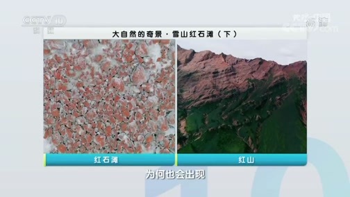 地理中国 《地理·中国》 20200223 大自然的奇景·雪山红石滩 下