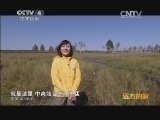 远方的家 江河万里行 第168集 松花江 嫩江湿地的秋意 20141219《远方的家》