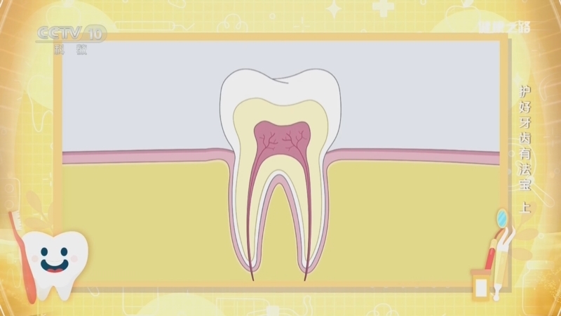《健康之路》 20240919 护好牙齿有法宝（上）
