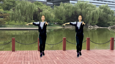 蓝莓思洁广场舞 网络情歌《我爱上了你》动感步子舞 简单好看易学