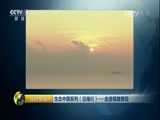 生财有道 《生财有道》 20160919 生态中国系列（沿海行）——走进福建莆田