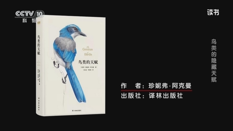 读书 《读书》 20260514 珍妮弗·阿克曼 《鸟类的天赋》 鸟类的隐藏天赋