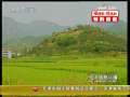 经济信息联播 经济信息联播 2008-09-05