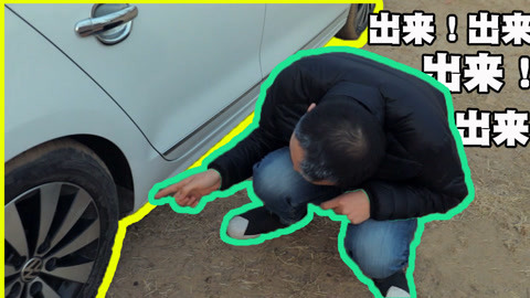 学校里的疯子 能让父亲老十岁的遛狗经历
