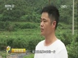 生财有道 《生财有道》 20161222 江西上饶：灵山秀水生财源