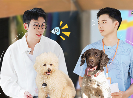 第7期：小白为毛孩子找新家