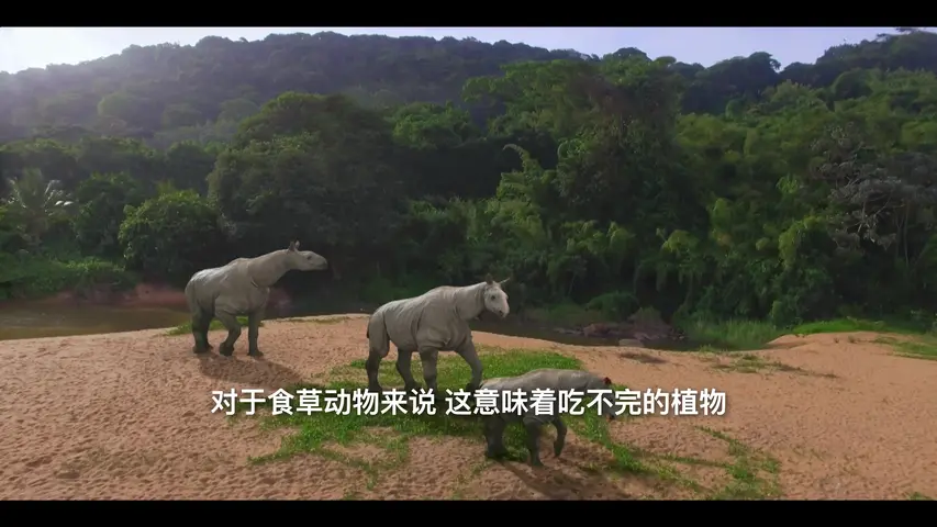 《史前巨兽大揭秘》第1集