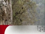动物世界 《动物世界》 20180312 母爱的呵护