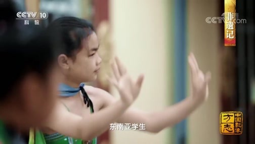 中国影像方志 《中国影像方志》 第590集 云南瑞丽篇