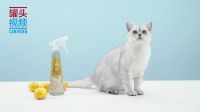举起爪儿来 三招打造猫咪禁区 13