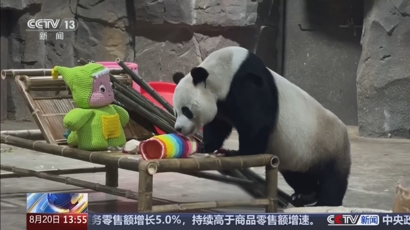 新闻直播间 《新闻直播间》 20260820 13:00