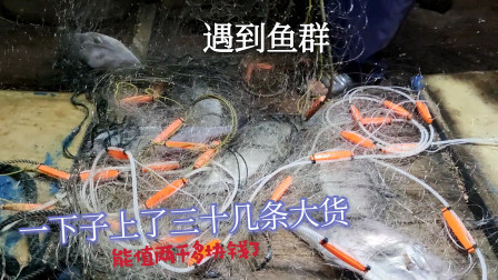 南澳岛赶海日记 彪哥外海遇鱼群，一下子来三十几条大货，这次共捉了一百斤多鱼获