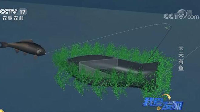 我爱发明 《我爱发明》 20200827 魔力发明秀之天天有鱼