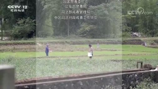 热线12 《热线12》 20190622 禁毒之战2019——错位人生