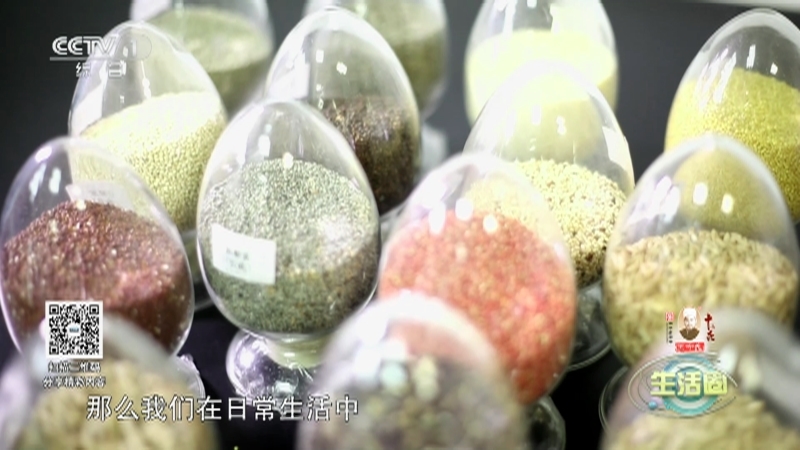 生活圈 《生活圈》 20230207