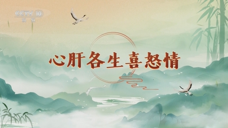 百家讲坛 《百家讲坛》 20250316 延年益寿话养生（第一部） 15 心肝各生喜怒情