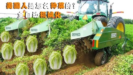 机械控 美国人是怎么种菜的？全自动机械化，这样的机器靠谱吗