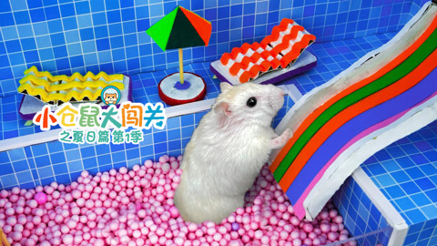 小仓鼠大闯关之夏日篇第1季