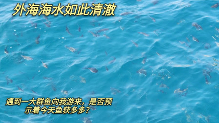 南澳岛赶海日记 外海海水如此清澈，还有一大群鱼向我游来，大家知道是什么鱼吗？