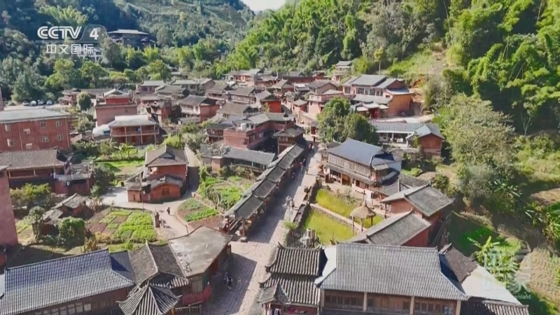 远方的家 《远方的家》 20250515 山水云南 神奇画卷 边陲秘境绿韵浓