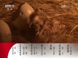 动物世界 《动物世界》 20170110 黑猩猩王位争夺战