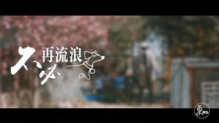二更视频 青岛美女豪掷百万救助流浪狗 却至今单身原因令人唏嘘 588