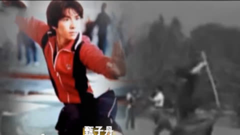 经典传奇 功夫巨星甄子丹炼成记