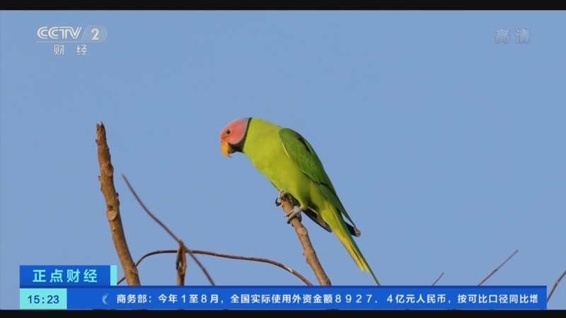 正点财经 《正点财经》 20220919 15:00