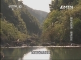 地理中国 《地理中国》 20130720 探秘武陵源 幽潭魅影（上）