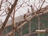 中国财经报道 《中国财经报道》 20140308 大调查——倾听2014