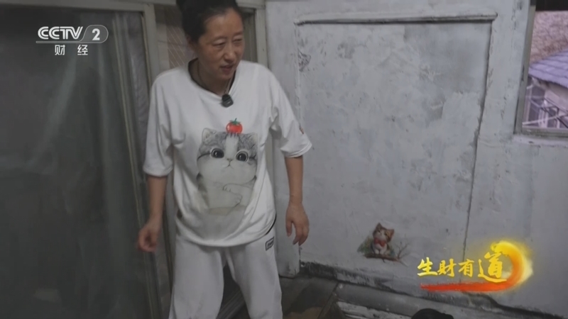 生财有道 《生财有道》 20250916 民间有高手：画架支菜场 薄刃指尖飞